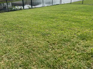 Clara T.'s lawn care services service result