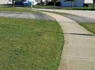 Bradey A.'s turf care service result