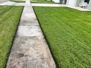 Maureen R.'s turf maintenance service result