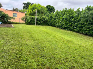 Debra S.'s turf maintenance service result