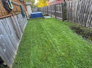 Amelia R.'s turf maintenance service result