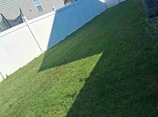 Jay R.'s grass cutting service result