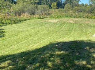 Mike M.'s lawn service service result