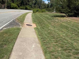 Monique W.'s lawn care services service result