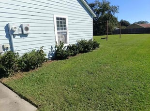 Steven D.'s grass cutting service result