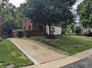 Stassi D.'s lawn care service result