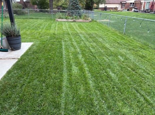 Desara D.'s lawn service service result