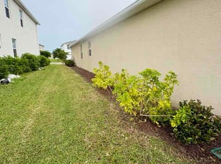 Felecia W.'s lawn care services service result