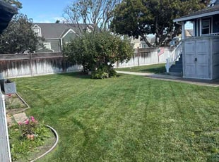 James Y.'s lawn service service result