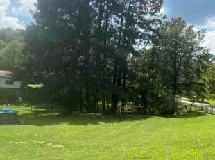 Connie E.'s lawn maintenance service result