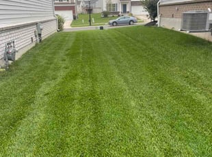 Christopher H.'s lawn care service result