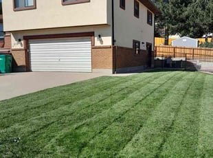 Marcus T.'s lawn maintenance service result
