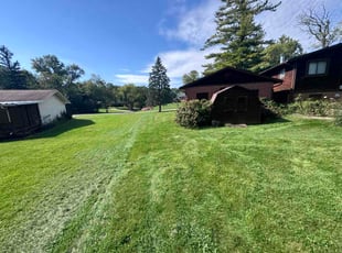Gloria P.'s grass maintenance service result