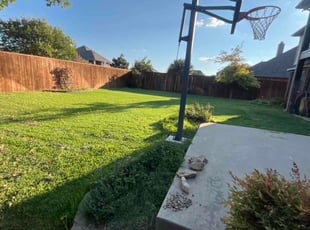 Marilyn C.'s turf maintenance service result