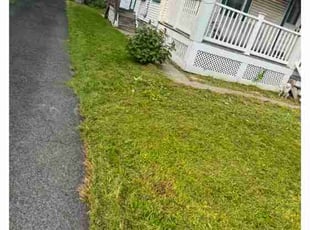 Cheryl W.'s lawn care service result