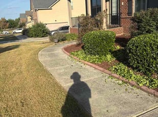 Lisa P.'s lawn care services service result