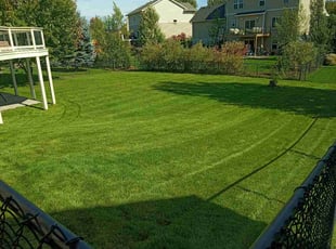 Jeffery N.'s lawn care service result