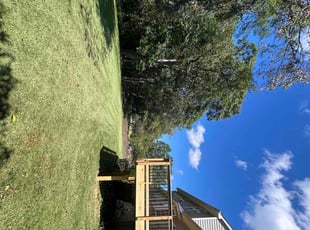 Roshan A.'s lawn maintenance service result