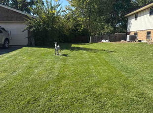 Evan K.'s lawn care service result