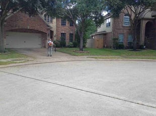 Luisa T.'s grass maintenance service result
