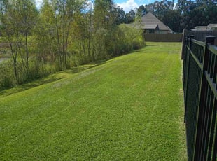 Shakerul H.'s grass maintenance service result