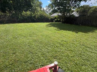 Deborah N.'s lawn service service result
