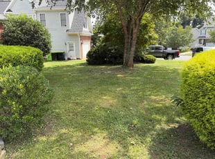 Wade R.'s turf care service result