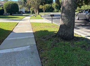 Maurice M.'s lawn care services service result