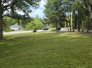 Carrie P.'s grass maintenance service result