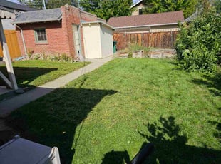 Luisa C.'s lawn care service result