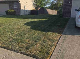 Leah C.'s turf maintenance service result