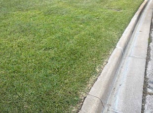 George F.'s lawn service service result