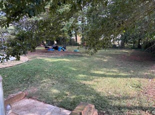 Nielza F.'s turf care service result