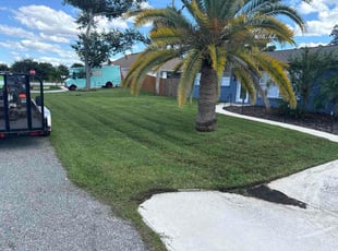 Judy M.'s lawn care services service result