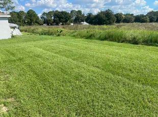 Wayne S.'s turf care service result