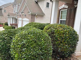 Monticue W.'s Bush Trimming service result