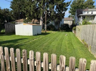 David J.'s grass maintenance service result