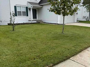 Taylor G.'s lawn maintenance service result