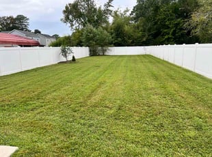 Donovan B.'s lawn care services service result