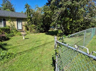 Phil K.'s turf care service result
