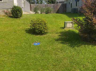 Uktam. E.'s turf care service result