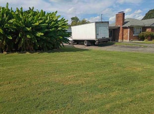 Sharon D.'s lawn care service result