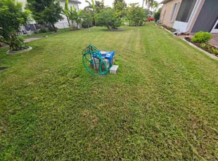 Landen C.'s turf care service result