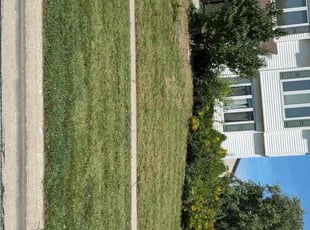 Michelle W.'s turf maintenance service result