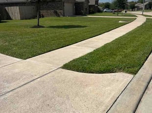 Shelby S.'s turf maintenance service result