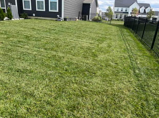 Sara H.'s lawn service service result
