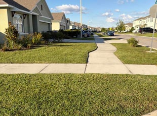 David R.'s lawn service service result