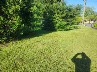 Michael H.'s grass maintenance service result