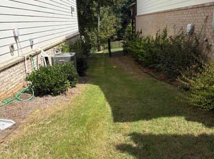 Dave H.'s turf care service result