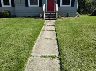 Rob D.'s lawn maintenance service result